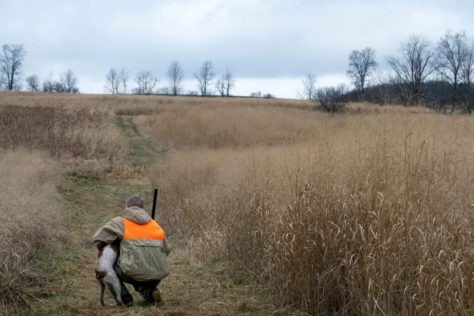 Wingshooting and Fishing